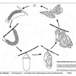 Click These Pictures To See A Transformation Pearltrees