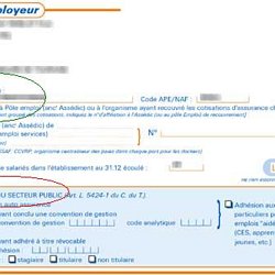 Pole Emploi Attestation Employeur Destinee A Pole Emploi Notice