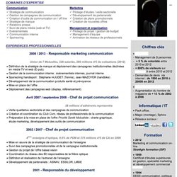 Modele De Cv Pearltrees