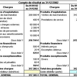 Compte De Resultat Apce Agence Pour La Creation D