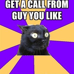 advice animals a b