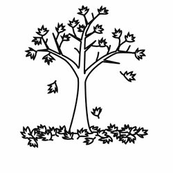 Trees Silhouette Pearltrees