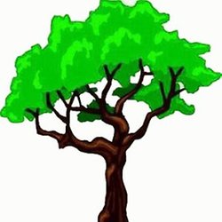 Trees Silhouette Pearltrees