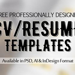 Templates Pour Cv Gratuit Pearltrees