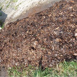 Jardin En Lasagne Pearltrees