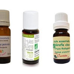 5 Remèdes Naturels Anti Moustiques Vraiment Efficaces Pearltrees Traitement Punaise De Lit Avec Huiles Essentielles