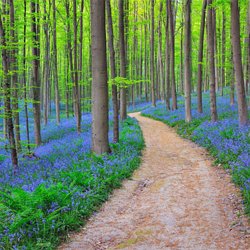 Get Top 10 Most Beautiful Nature Spots Around The Austria Pearltrees Free Wallpaper Top 10 Most Beautiful Nature Spots Around The Austria Pearltrees For Android