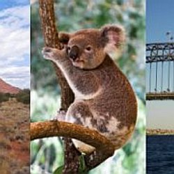 Australia Facts For Kids Facts About Australia For Kids Pearltrees