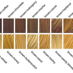 What Color Eyes Will Your Children Have Pearltrees