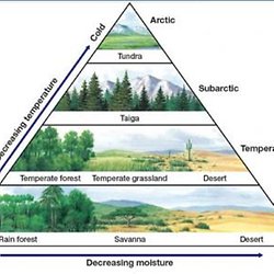 Earth Floor Biomes Pearltrees