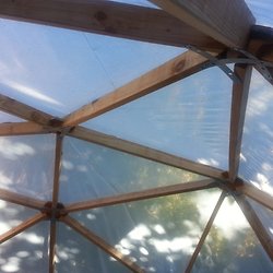 Backyard Aquaponics Diy System To Farm Fish With Vegetables