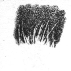 Learn To Draw Com Learn How To Draw Online For Free Pearltrees