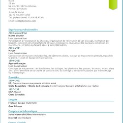 exemple cv skema