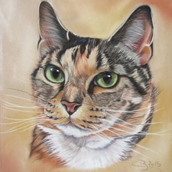 Dessin Et Peinture Video 2746 Comment Peindre Un Portrait De Chat En Temps Reel Aquarelle Le Blog De Lapalettedecouleurs Over Blog Com Dessin Et Peinture Video 2746 Comment Peindre Un Portrait De Chat En Temps Reel Aquarelle Le Blog De Lapalettedecouleurs Over Blog Com