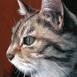 Dessin Et Peinture Video 2966 Comment Peindre Un Chaton Resume 5 5 Acrylique Et Huile Le Blog De Lapalettedecouleurs Over Blog Com Dessin Et Peinture Video 2966 Comment Peindre Un Chaton Resume 5 5 Acrylique Et Huile Le Blog De Lapalettedecouleurs Over Blog Com