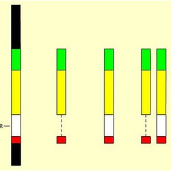 C Est Pas Sorcier Comment Fait Les Bebes Pearltrees C Est Pas Sorcier Comment Fait Les Bebes Pearltrees